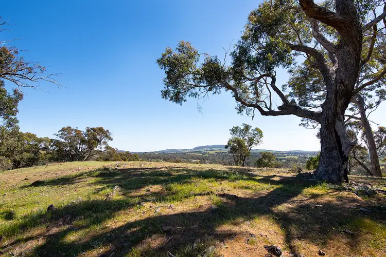 Second view of Homely land listing, Bubbs Lane, Elphinstone VIC 3448