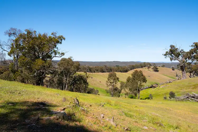 Third view of Homely land listing, Bubbs Lane, Elphinstone VIC 3448
