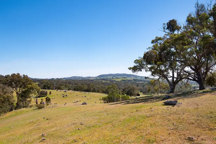 Fifth view of Homely land listing, Bubbs Lane, Elphinstone VIC 3448