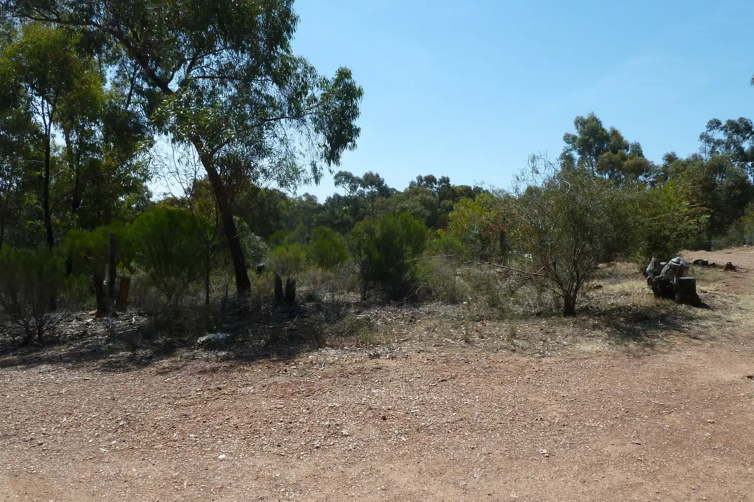 Main view of Homely rural property listing, 202 Josephine Drive, Wedderburn VIC 3518