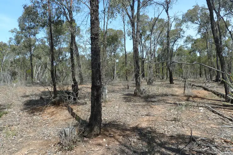 Fourth view of Homely rural property listing, 202 Josephine Drive, Wedderburn VIC 3518