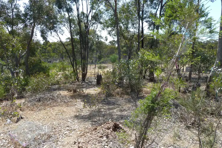Fifth view of Homely rural property listing, 202 Josephine Drive, Wedderburn VIC 3518