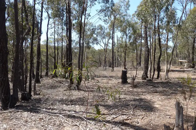 Seventh view of Homely rural property listing, 202 Josephine Drive, Wedderburn VIC 3518