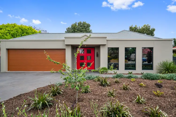 16 Radstock Street, Morphettville SA 5043