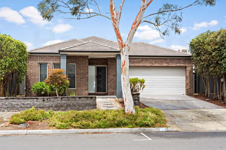 41 Harriers Street, Mernda VIC 3754