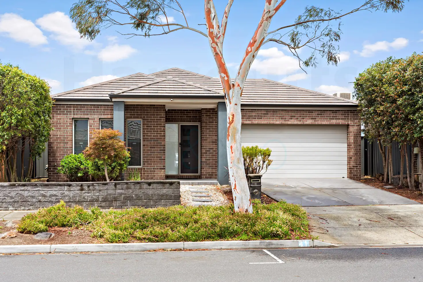 Main view of Homely house listing, 41 Harriers Street, Mernda VIC 3754