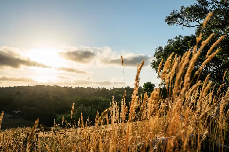 24 Oxford Road, Aldgate SA 5154