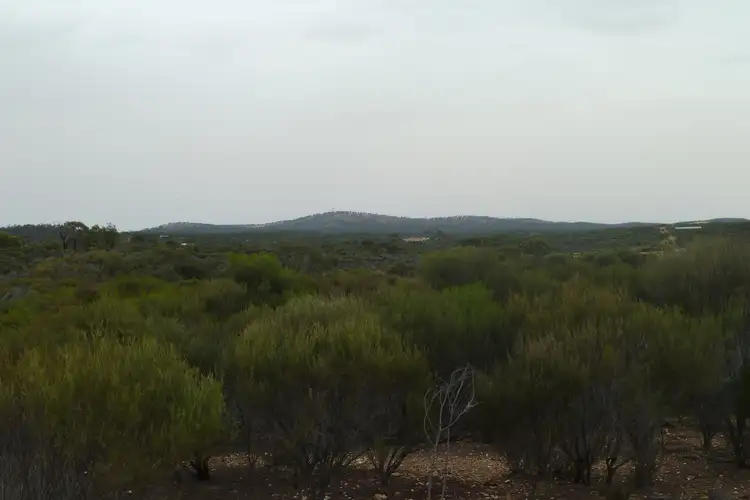 Third view of Homely rural property listing, LOT 2 Wychitella Road, Wedderburn VIC 3518