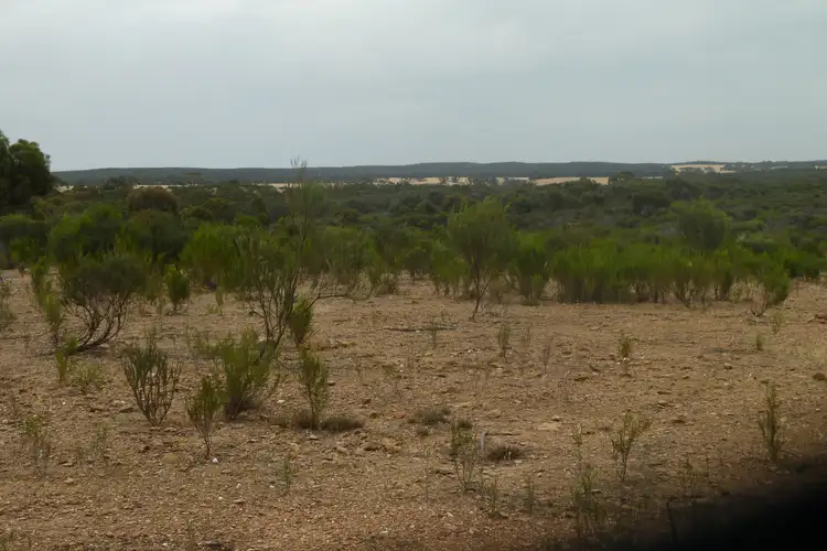 Fifth view of Homely rural property listing, LOT 2 Wychitella Road, Wedderburn VIC 3518