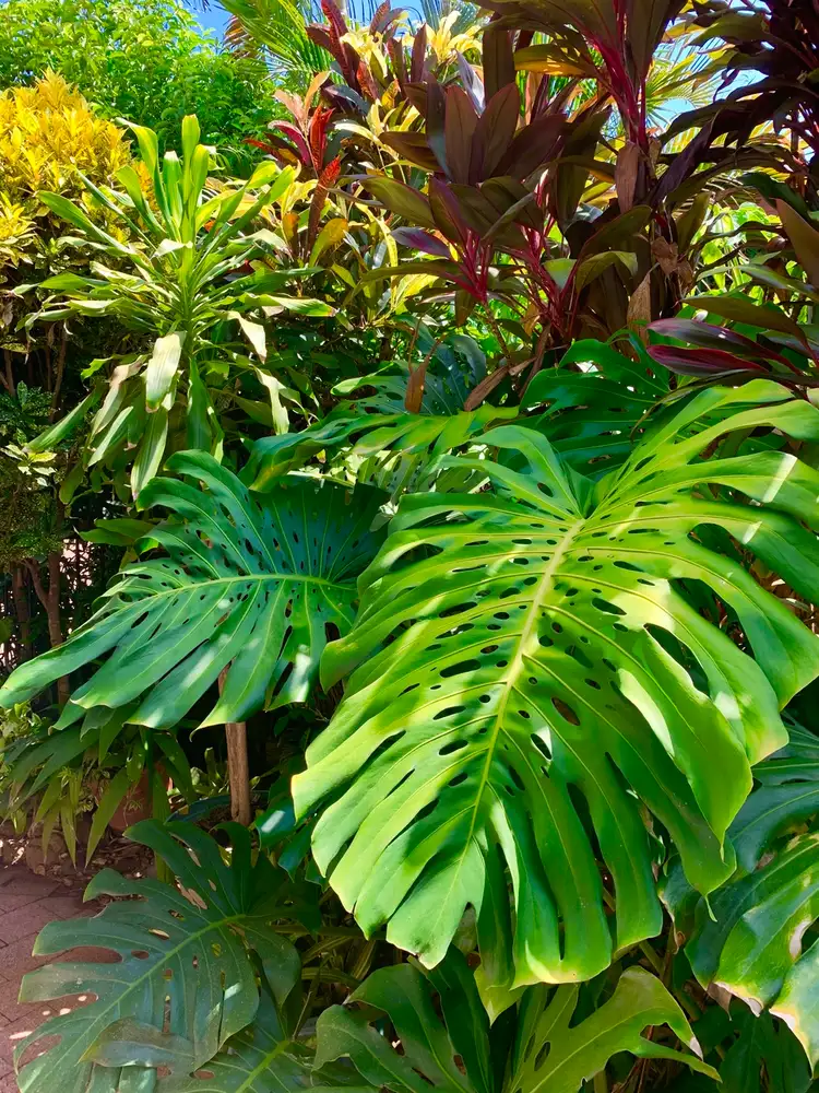 Sixth view of Homely unit listing, 4/4 Chapman Court, Rapid Creek NT 810