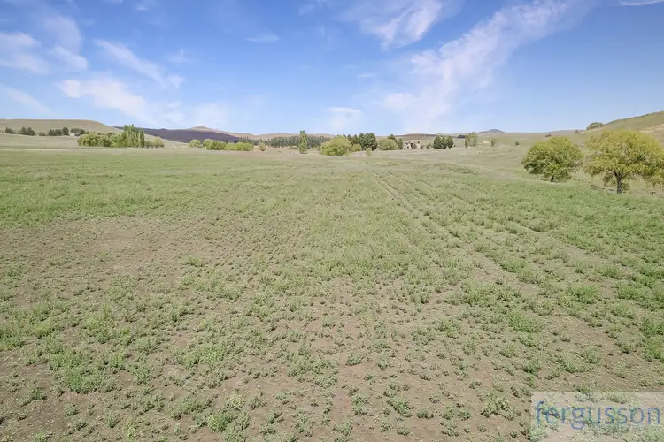 Fifth view of Homely rural property listing, 679 Myalla Road, Cooma NSW 2630