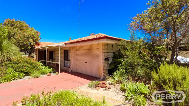Main view of Homely house listing, 13A Zavia Street, Falcon WA 6210
