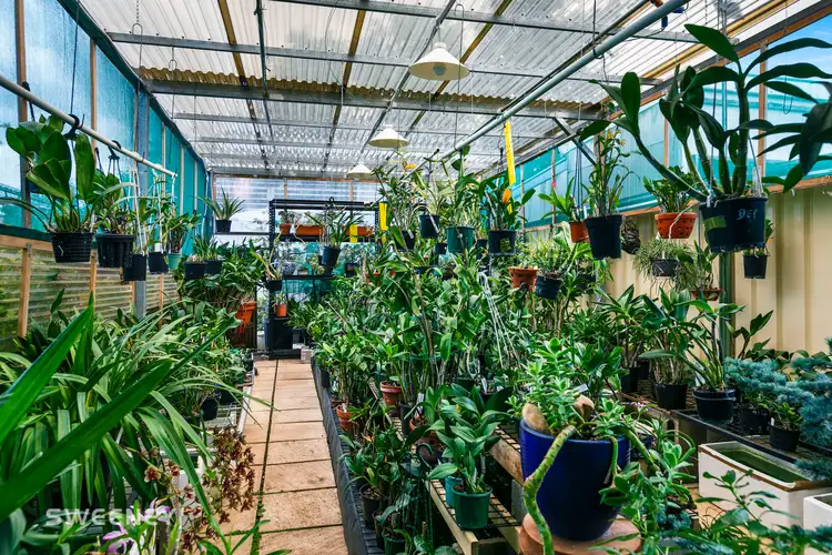 Sixth view of Homely house listing, 39 Dunkeld Avenue, Sunshine North VIC 3020