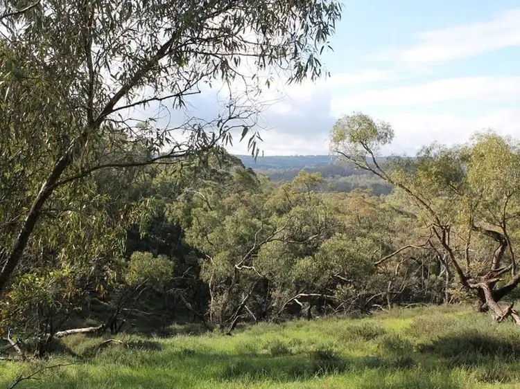 Lot 3 Possingham Pit Road, Sevenhill SA 5453