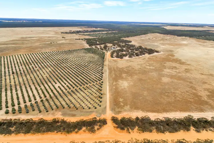 Main view of Homely rural property listing, 632 Gurrai North Road, Lameroo SA 5302