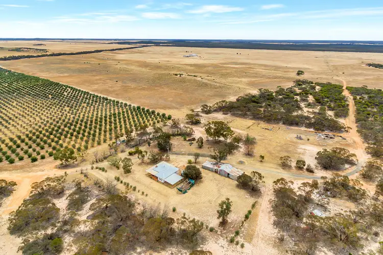 Third view of Homely rural property listing, 632 Gurrai North Road, Lameroo SA 5302