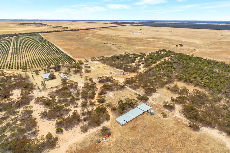Fourth view of Homely rural property listing, 632 Gurrai North Road, Lameroo SA 5302
