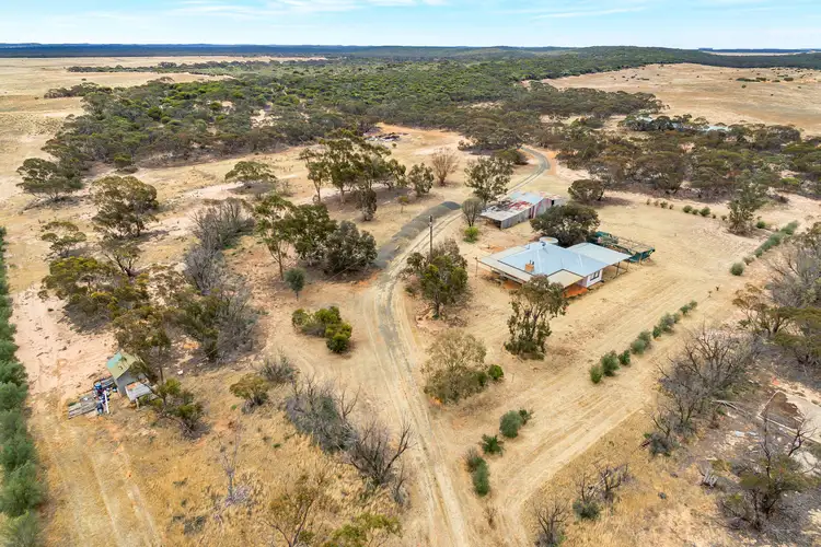 Fifth view of Homely rural property listing, 632 Gurrai North Road, Lameroo SA 5302