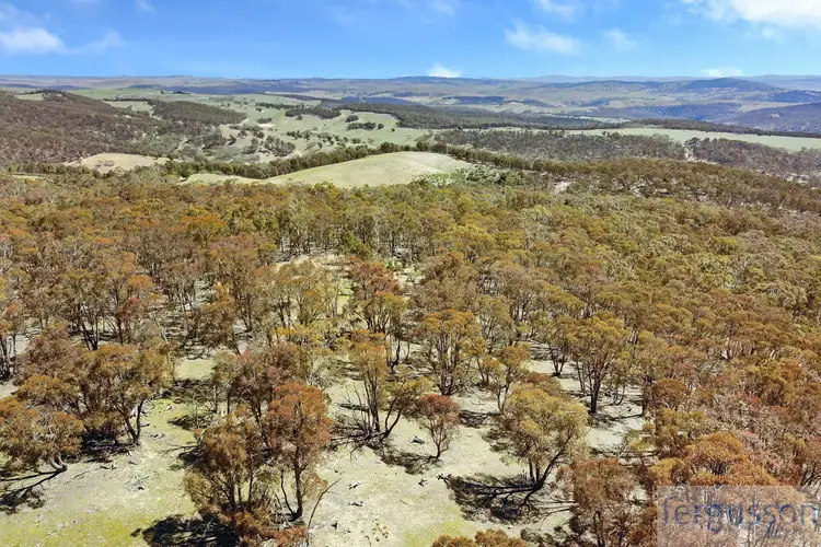 Third view of Homely rural property listing, Lot 2 Shannon's Flat Road, Cooma NSW 2630