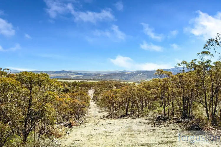 Fourth view of Homely rural property listing, Lot 2 Shannon's Flat Road, Cooma NSW 2630