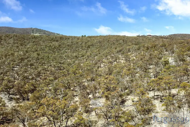 Fifth view of Homely rural property listing, Lot 2 Shannon's Flat Road, Cooma NSW 2630