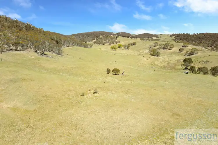 Sixth view of Homely rural property listing, Lot 2 Shannon's Flat Road, Cooma NSW 2630