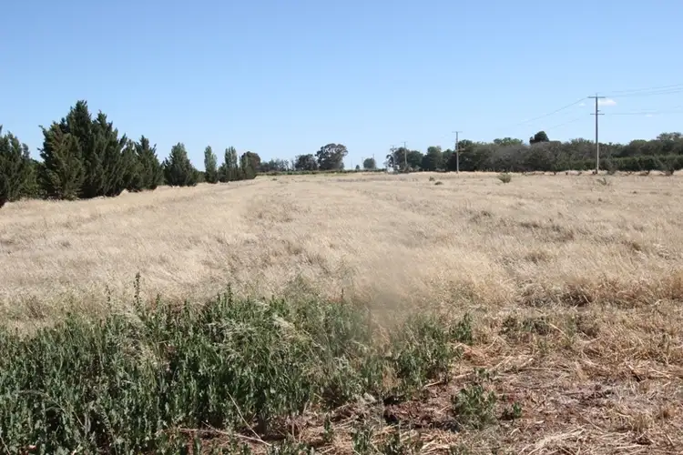 Second view of Homely rural property listing, Lot 1 Corner Campbell & Murray Valley Highway, Cobram VIC 3644