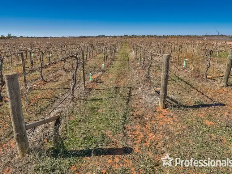 Second view of Homely rural property listing, Lot 157 Keenans Drive, Coomealla NSW 2717