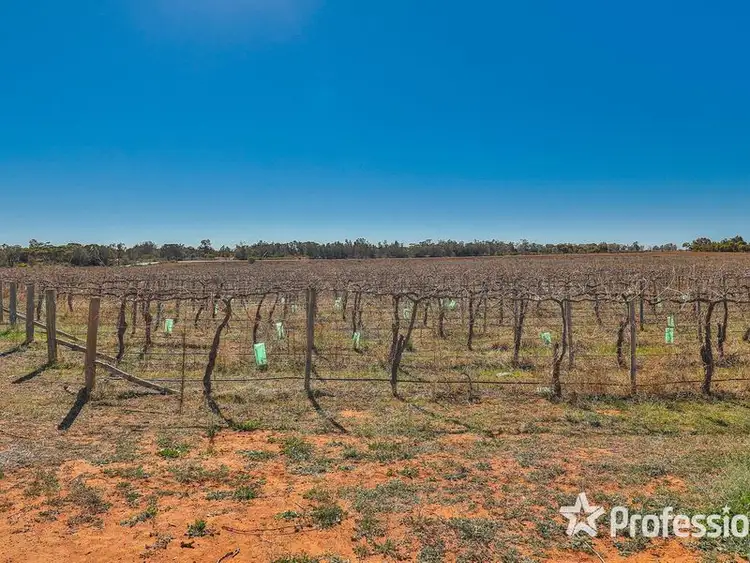 Fourth view of Homely rural property listing, Lot 157 Keenans Drive, Coomealla NSW 2717