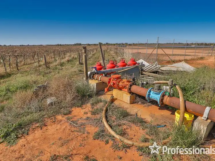 Fifth view of Homely rural property listing, Lot 157 Keenans Drive, Coomealla NSW 2717