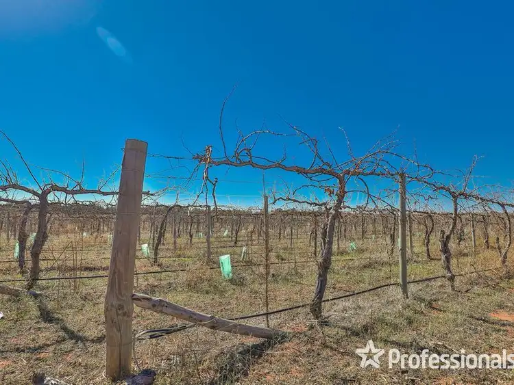 Sixth view of Homely rural property listing, Lot 157 Keenans Drive, Coomealla NSW 2717