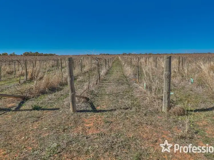 Seventh view of Homely rural property listing, Lot 157 Keenans Drive, Coomealla NSW 2717