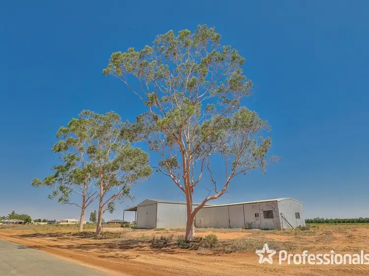 Main view of Homely rural property listing, 217B Cocklin Avenue, Red Cliffs VIC 3496