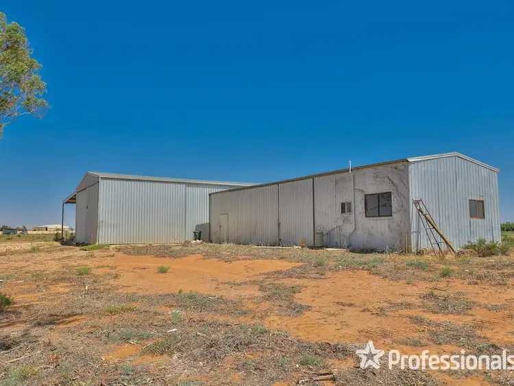 Second view of Homely rural property listing, 217B Cocklin Avenue, Red Cliffs VIC 3496