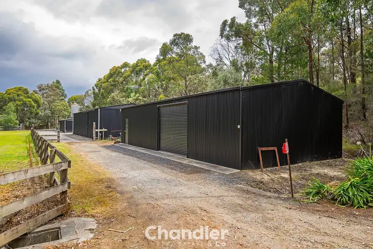 Sixth view of Homely house listing, 74 Blumm Road, Belgrave South VIC 3160