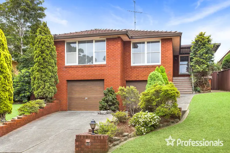 17 Robin Place, Roselands NSW 2196