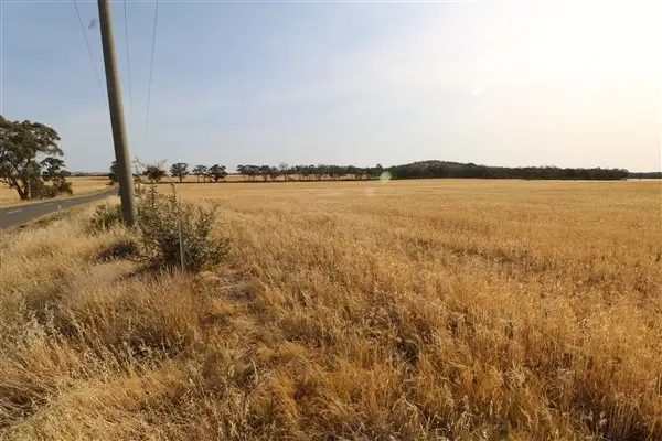 Main view of Homely rural property listing, Lot 1 Boort-Wedderburn Road, Korong Vale VIC 3520
