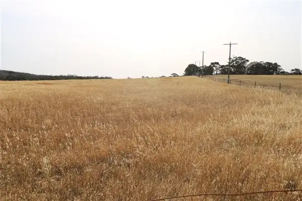Second view of Homely rural property listing, Lot 1 Boort-Wedderburn Road, Korong Vale VIC 3520