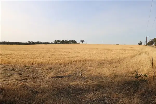 Third view of Homely rural property listing, Lot 1 Boort-Wedderburn Road, Korong Vale VIC 3520