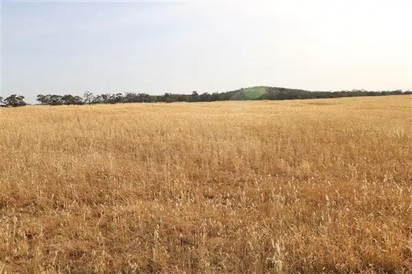 Fourth view of Homely rural property listing, Lot 1 Boort-Wedderburn Road, Korong Vale VIC 3520