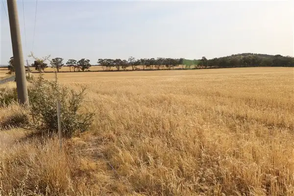Sixth view of Homely rural property listing, Lot 1 Boort-Wedderburn Road, Korong Vale VIC 3520