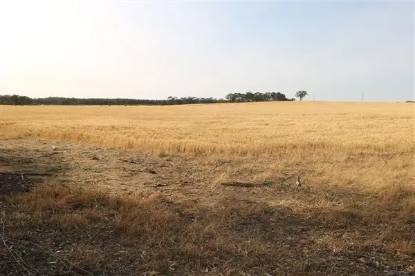 Seventh view of Homely rural property listing, Lot 1 Boort-Wedderburn Road, Korong Vale VIC 3520