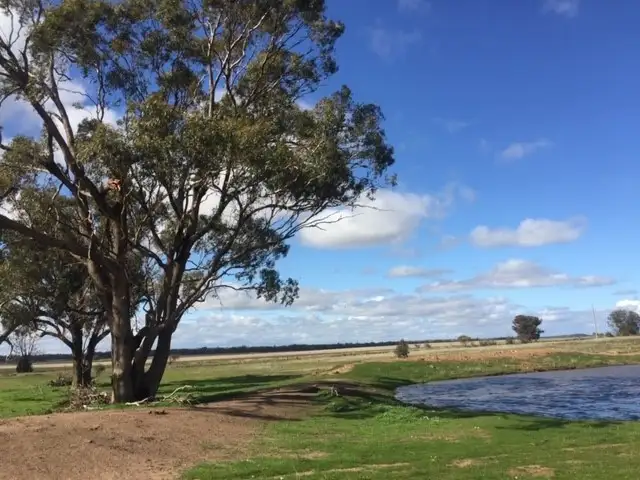 Main view of Homely rural property listing, Lot 11B Boort-Wedderburn Road, Korong Vale VIC 3520