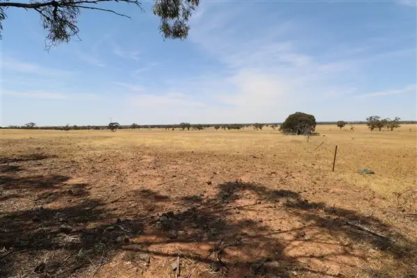 Main view of Homely rural property listing, Lot 81 Boort-Wedderburn Road, Korong Vale VIC 3520