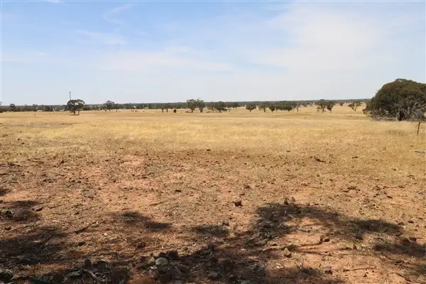 Third view of Homely rural property listing, Lot 81 Boort-Wedderburn Road, Korong Vale VIC 3520