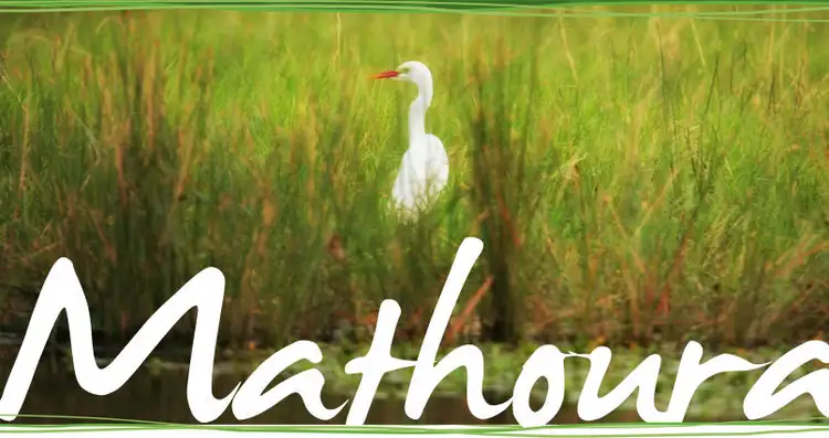 Third view of Homely land listing, 7 Opitz Court, Mathoura NSW 2710