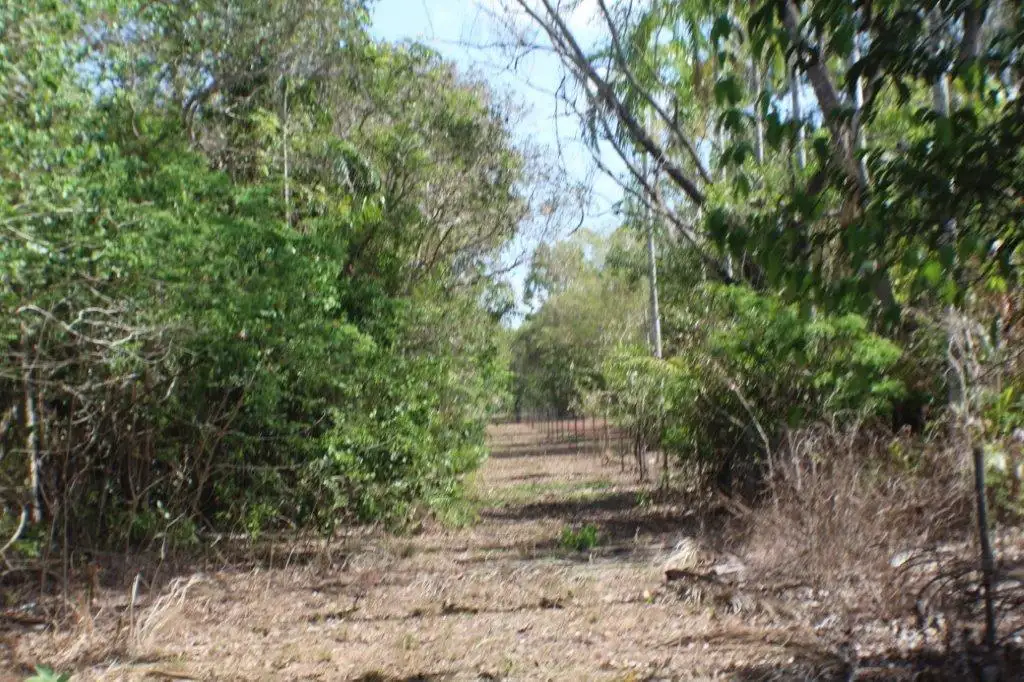 Main view of Homely land listing, 20 Bugle Court, Humpty Doo NT 836