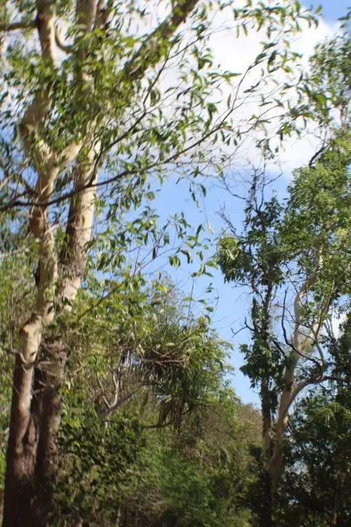 Third view of Homely land listing, 20 Bugle Court, Humpty Doo NT 836