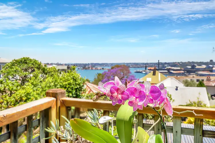 58 Birchgrove Road, Balmain NSW 2041