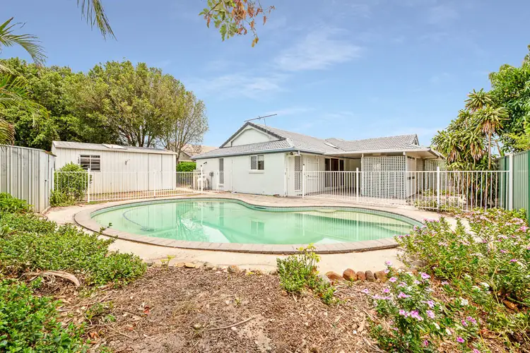 Second view of Homely house listing, 3 Hibiscus Court, Bongaree QLD 4507